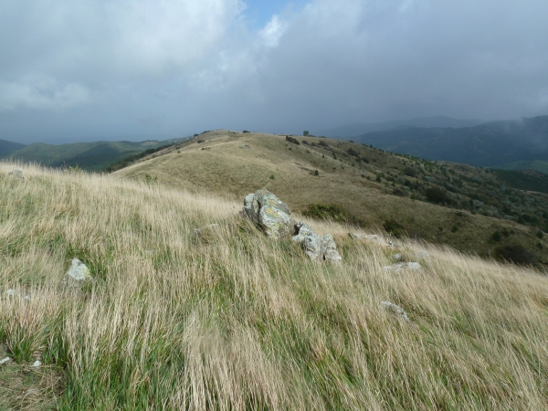 PAESAGGIO VERSO IL MONTE COLMA.jpg